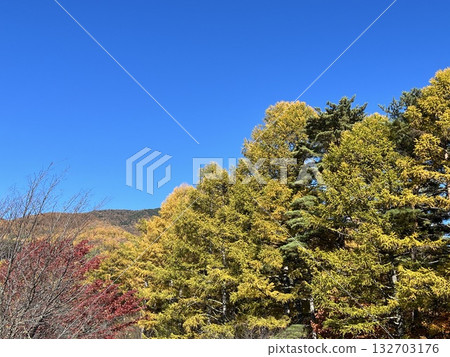 Autumn hiking Autumn hiking 132703176