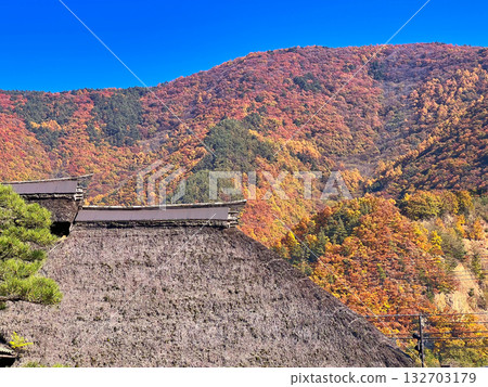 Thatched roofs and colorful mountains in late autumn Thatched roofs and colorful mountains in late autumn 132703179