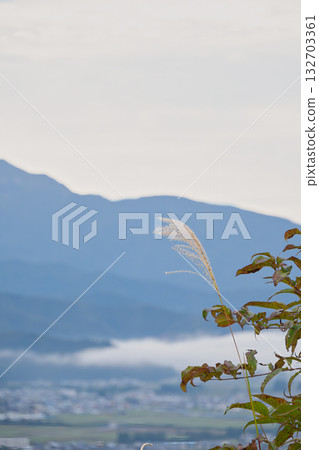 A tranquil autumn landscape of hazy mountains and shining silver grass A tranquil autumn landscape of hazy mountains and shining silver grass 132703361