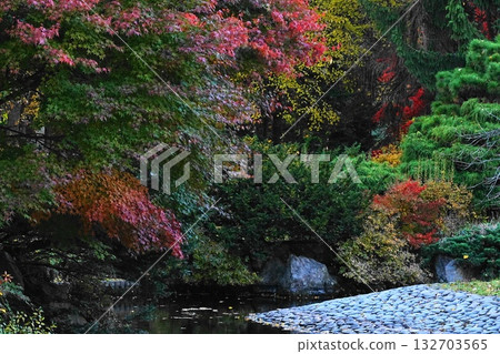 風景與秋天的落葉 132703565