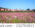 Cosmos field and container train (JR Freight) 132703813