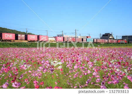 宇宙場和貨櫃列車(JR貨運) 宇宙場和貨櫃列車(JR貨運) 132703813