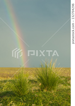 Rural landscape and rainbow,Buenos Aires province , Argentina 132704296