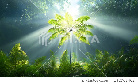 Ethereal Jungle Scene with Sunlight Pouring Through Dense Foliage and Lush Greenery 132705462