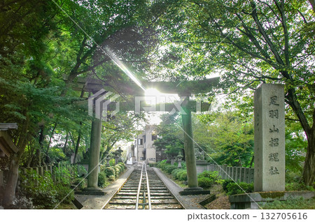 福井市飛鳥山聖權社的鳥居,神聖的光芒透過綠植和石階間的縫隙灑下。 福井市飛鳥山聖權社的鳥居,神聖的光芒透過綠植和石階間的縫隙灑下。 132705616