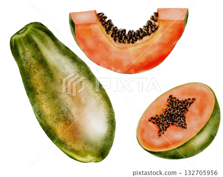 Papaya watercolor set. Hand drawn ripe tropical fruit on white background. Ideal for logo, cosmetics and product packaging 132705956