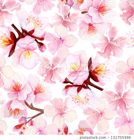 Cherry blossom branch with delicate pink petals seamless pattern. Hand-painted watercolor clip art isolated on white, perfect for spring decor, wedding invitations, Asian design, or floral projects Cherry blossom branch with delicate pink petals seamless pattern. Hand-painted watercolor clip art isolated on white, perfect for spring decor, wedding invitations, Asian design, or floral projects 132705986