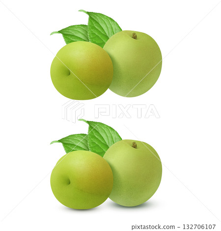 逼真的李子插圖 逼真的李子插圖 132706107