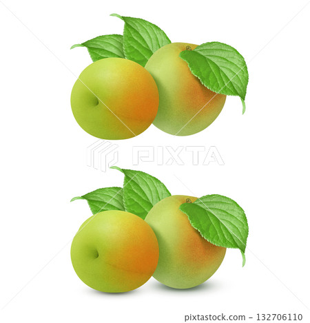 Plum illustration realistic plum fruit 132706110