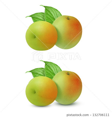 Plum illustration realistic plum fruit Plum illustration realistic plum fruit 132706111