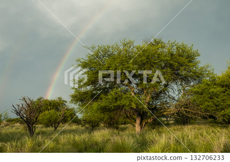 Rural landscape and rainbow,Buenos Aires province , Argentina Rural landscape and rainbow,Buenos Aires province , Argentina 132706233