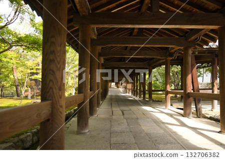 Tofukuji Temple - Gentle sunlight streaming through Tsutenkyo Bridge 1 Tofukuji Temple - Gentle sunlight streaming through Tsutenkyo Bridge 1 132706382