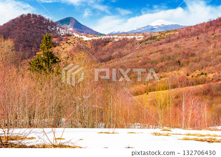 mountain landscape with mixed forest on snow covered slope. blue sky with clouds. uzhanian national park in early spring. countryside scenery of ukraine on a sunny day. naked trees mountain landscape with mixed forest on snow covered slope. blue sky with clouds. uzhanian national park in early spring. countryside scenery of ukraine on a sunny day. naked trees 132706430