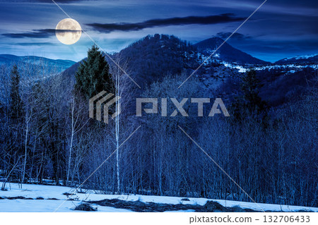 mountain landscape with mixed forest on snow covered slope at night. dark sky with clouds in full moon light. early spring. background for investment or abstract concepts. naked trees mountain landscape with mixed forest on snow covered slope at night. dark sky with clouds in full moon light. early spring. background for investment or abstract concepts. naked trees 132706433