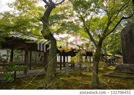 東福寺:苔蘚花園、綠楓樹和通天橋 1 東福寺:苔蘚花園、綠楓樹和通天橋 1 132706452