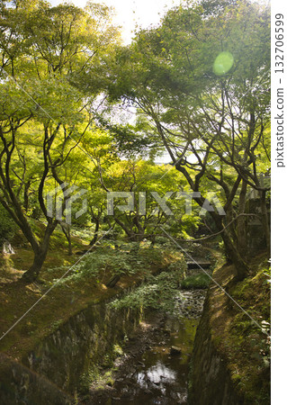 東福寺 - 仙玉館和陽光透過樹木灑下的美麗庭園 2 132706599