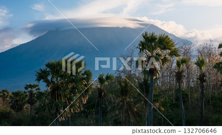 Mountain landscape with volcano, palm trees and clouds in Bali. Drone view 132706646