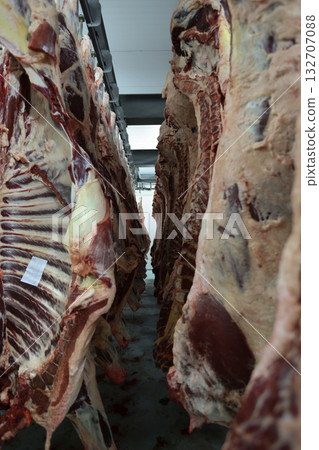 Industrial slaughterhouse scene description, Chill room with hanging beef carcasses and shadows Industrial slaughterhouse scene description, Chill room with hanging beef carcasses and shadows 132707088