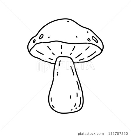 A mushroom isolated on a white background A mushroom isolated on a white background 132707230