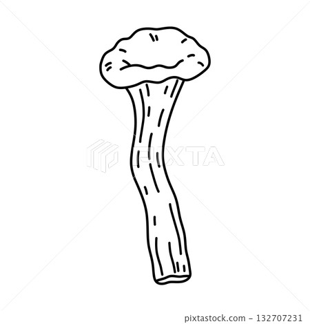 Chanterelle mushroom Chanterelle mushroom 132707231