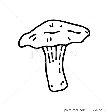 Chanterelle mushroom Chanterelle mushroom 132707232