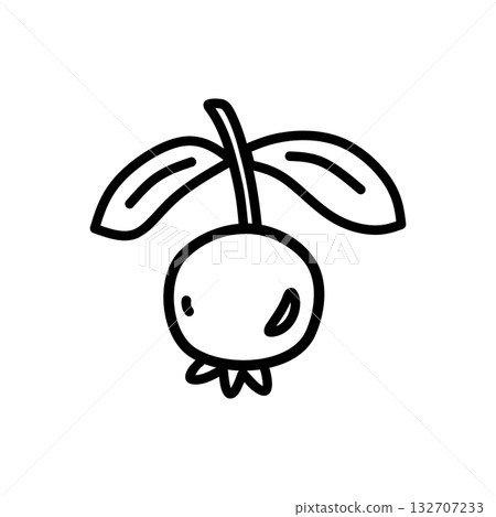 Rosehip berry Rosehip berry 132707233