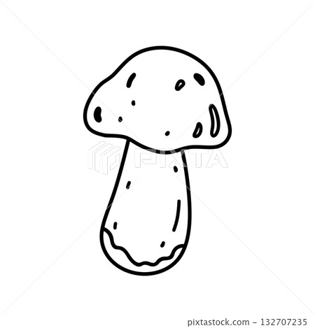 A mushroom isolated on a white background A mushroom isolated on a white background 132707235