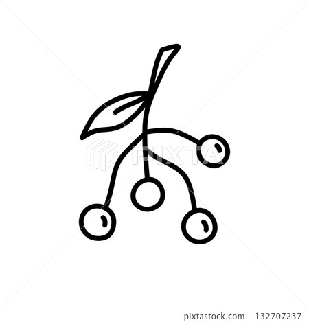 A twig with berries 132707237