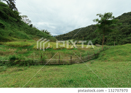 Beautiful step of rice terrace Beautiful step of rice terrace 132707970