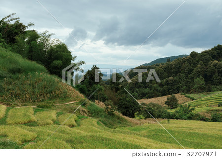 Beautiful step of rice terrace 132707971