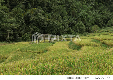 Beautiful step of rice terrace Beautiful step of rice terrace 132707972