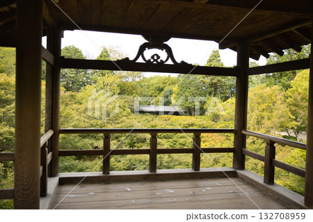 從東福寺通天台2號欣賞綠色的楓樹。 132708959