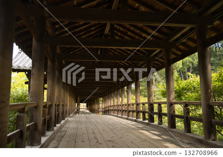 東福寺 - 通天橋 5，沐浴在清晨的靜謐之中 132708966