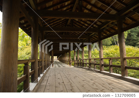 東福寺 - 通天橋 9,籠罩在清晨短暫的靜謐之中 東福寺 - 通天橋 9,籠罩在清晨短暫的靜謐之中 132709005