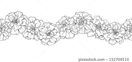 Vector Marigold flower head seamless isolated horizontal banner. Monochrome blooming tagetes flowers etching drawing. Floral pattern for Diwali decorations, Day of the Dead ofrendas, festival posters Vector Marigold flower head seamless isolated horizontal banner. Monochrome blooming tagetes flowers etching drawing. Floral pattern for Diwali decorations, Day of the Dead ofrendas, festival posters 132709510