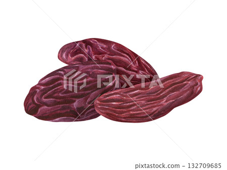 Three red raisins watercolor illustration on isolated background. Raw organic dried sweet dessert dark grapes. Delicious healthy fruit composition for bakery, Ramadan fast, Xmas drink decoration 132709685