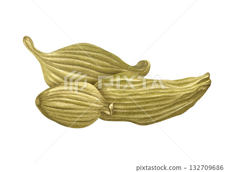 Whole dried aromatic cardamom Elettaria cardamomum pile watercolor illustration on isolated background. Three fragrant spice cardamon pile ingredient for medicine, drink, decor, cooking recipe 132709686
