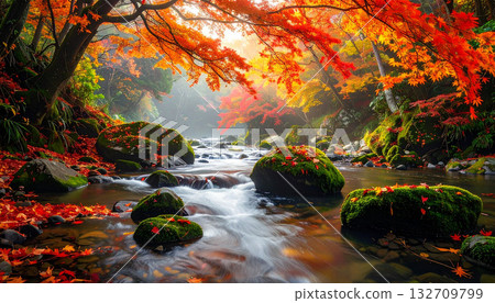 Stream Flowing Through Autumn Forest with Colorful Maple Leaves Stream Flowing Through Autumn Forest with Colorful Maple Leaves 132709799