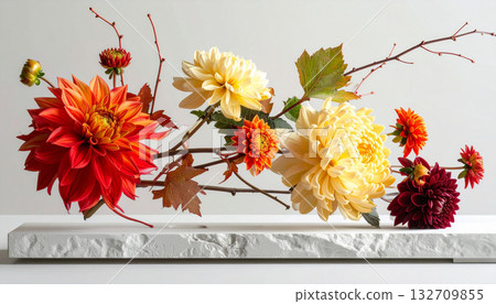 Colorful Dahlias Displayed on Modern Stone Platform Colorful Dahlias Displayed on Modern Stone Platform 132709855