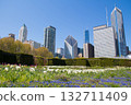 skyscrapers in Chicago 132711409