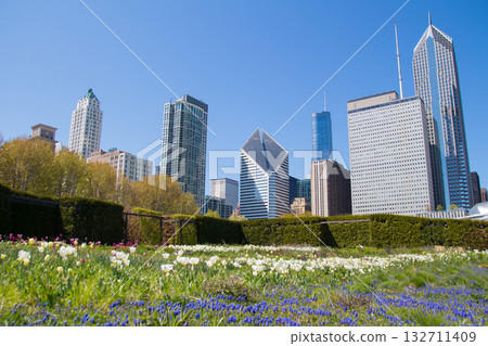 skyscrapers in Chicago 132711409