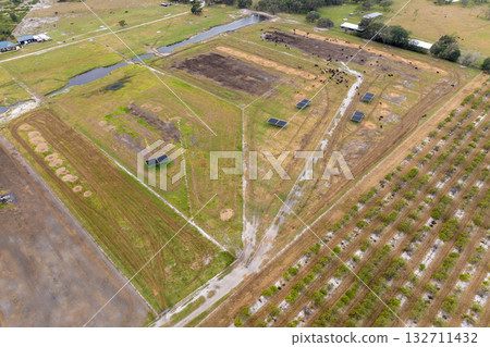 Cattle stockyard with meat cows. Feeding of livestock on farm feedlot in Florida rural area 132711432
