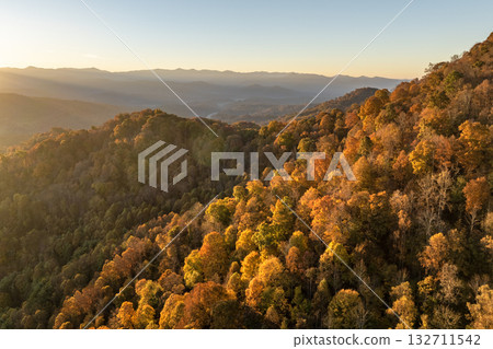 Autumn woods of Appalachian mountains at sunset with yellow and orange canopies in colorful forest. Landscape of wild nature in fall season Autumn woods of Appalachian mountains at sunset with yellow and orange canopies in colorful forest. Landscape of wild nature in fall season 132711542