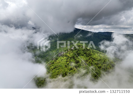 Appalachian mountains. Woods nature in summer wet rainy season. Colorful forest in Tennessee 132711550