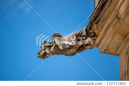 Prague, Czech Republic, August 8, 2023. Close-up view of a gargoyle on St. Vitus Cathedral. Beautiful summer day. Travel destinations. 132711903