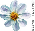 Blue flower on a white background. Isolate. For design. 132711940