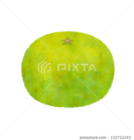 Illustration of early-ripening mandarin oranges in watercolor style Illustration of early-ripening mandarin oranges in watercolor style 132712243