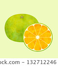 Cross-section illustration of early-ripening mandarin oranges (watercolor-style vector) 132712246