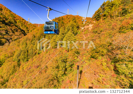 Naeba Plateau Autumn from Dragondola 132712344