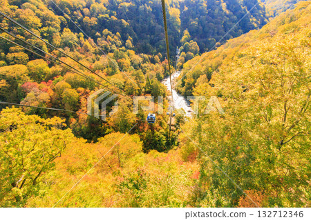 Naeba Plateau Autumn from Dragondola 132712346